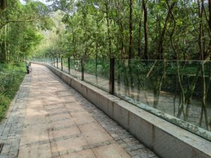 Flood Glazing
